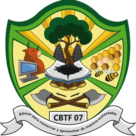 cbtf 7